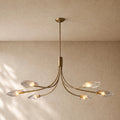 Shells Clear Glass Linear Chandelier