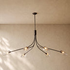 Shells Clear Glass Linear Chandelier