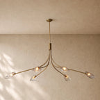 Shells Clear Glass Linear Chandelier