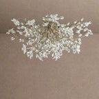 Fiore Flushmount