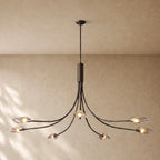 Shells Clear Glass Round Chandelier