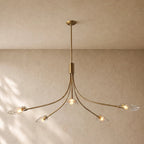 Shells Clear Glass Round Chandelier