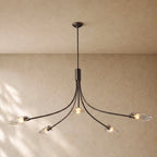 Shells Clear Glass Round Chandelier