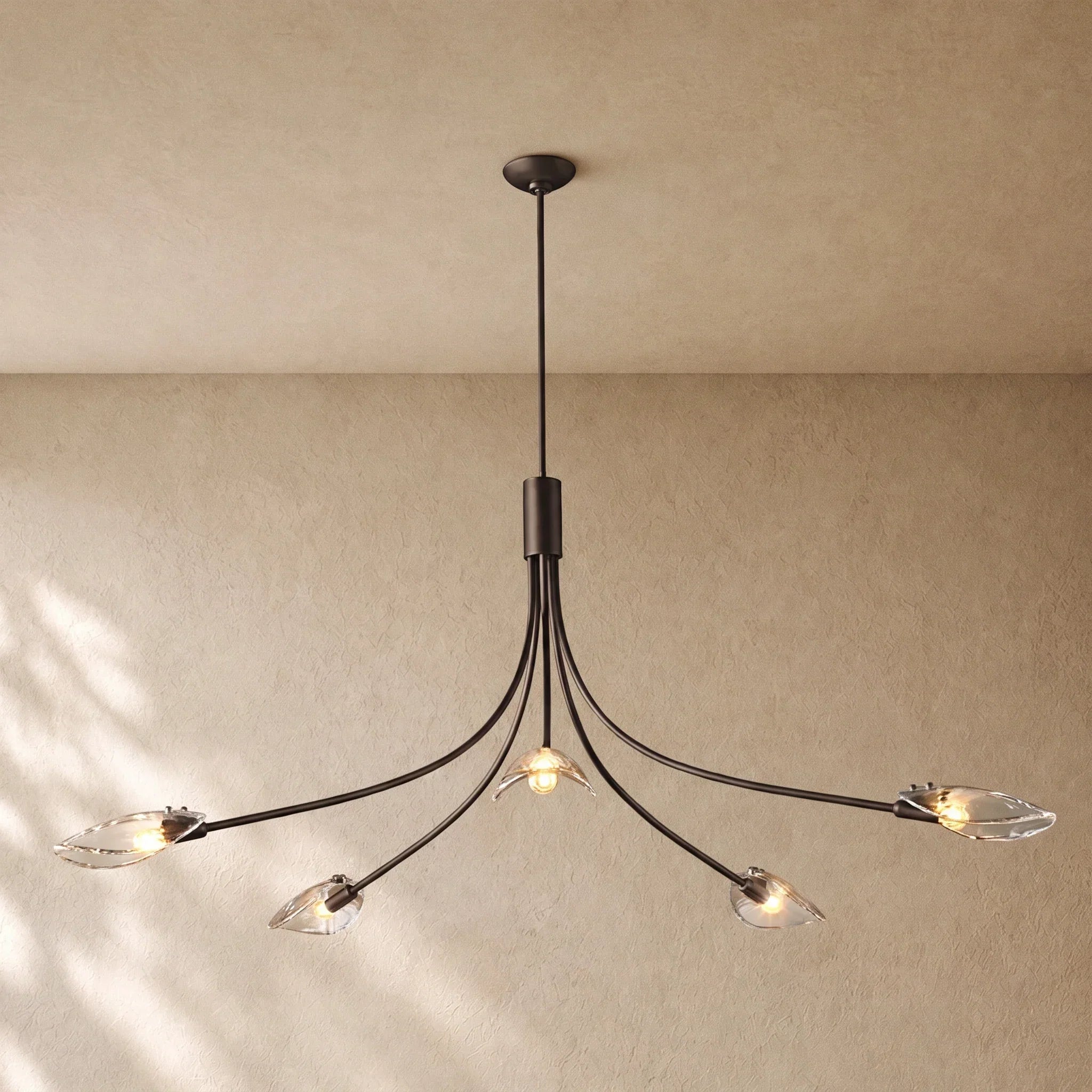 Shells Clear Glass Round Chandelier