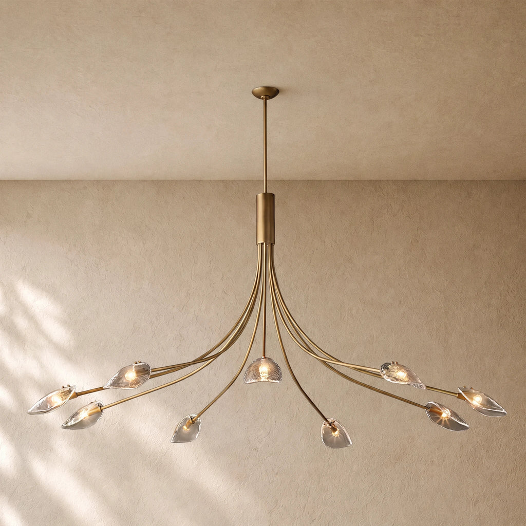 Shells Clear Glass Round Chandelier