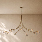 Shells Clear Glass Round Chandelier