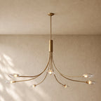 Shells Clear Glass Round Chandelier