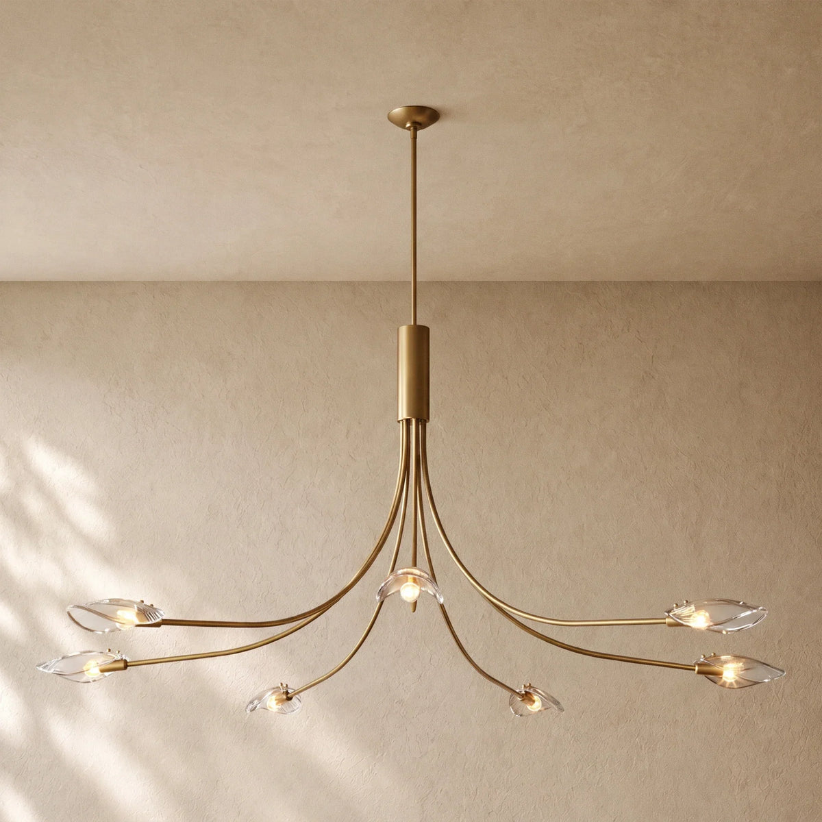 Shells Clear Glass Round Chandelier