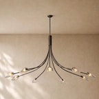 Shells Clear Glass Round Chandelier