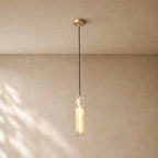 Tronchi Clear Glass Pendant in Bronze  - VChandelier